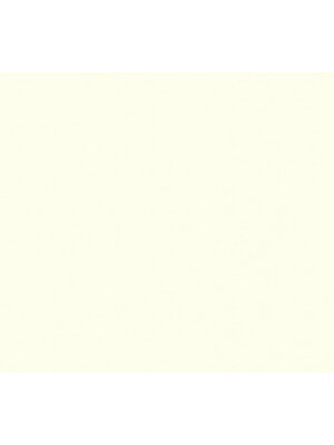 AS Creation Styleguide Jung 2021 wit behang | 369321