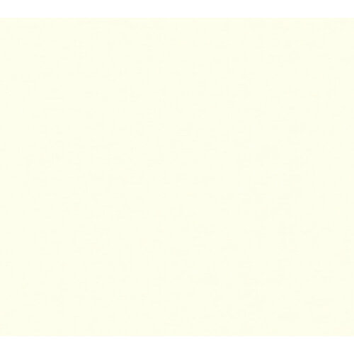 AS Creation Styleguide Jung 2021 wit behang | 369321 AS Creation Styleguide Jung 2021 wit behang | 369321