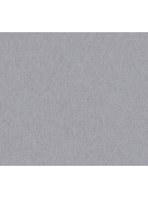 AS Creation Attractive 2 - Grijs - 390305