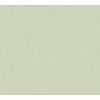 AS Creation Casual Living - Groen - Uni - 378315