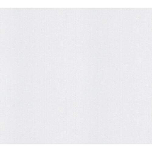 AS Creation Meistervlies 7 - 248411 AS Creation Meistervlies 7 - 248411