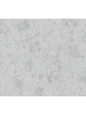 Livingwalls Profitex 2022 - Zilver - Gipslook - 389693