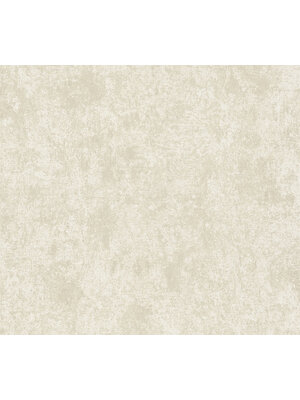 Livingwalls Profitex 2022 - Beige - Gipslook - 389695