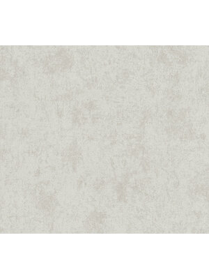 Livingwalls Profitex 2022 - Zilver - Gipslook - 389697 Livingwalls Profitex 2022 - Zilver - Gipslook - 389697