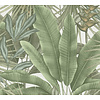 Livingwalls Stories of Life - Groen - Planten - 396472