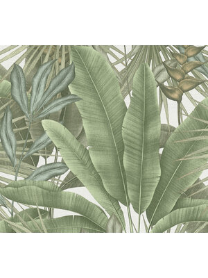 Livingwalls Stories of Life - Groen - Planten - 396472 Livingwalls Stories of Life - Groen - Planten - 396472