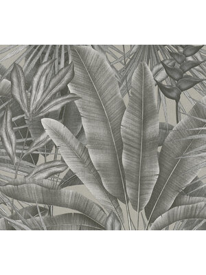 Livingwalls Stories of Life - Grijs  - Planten - 396473