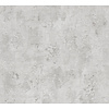 AS Creation THE BoS - Grijs - Betonlook - 388232