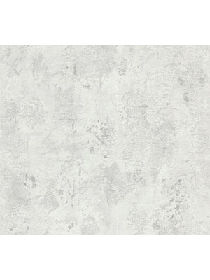 AS Creation THE BoS - Grijs - Betonlook - 388233