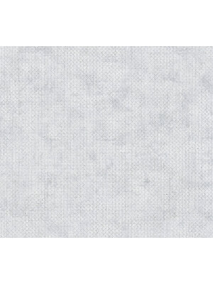 AS Creation THE BoS - Grijs - Grafisch - 388261