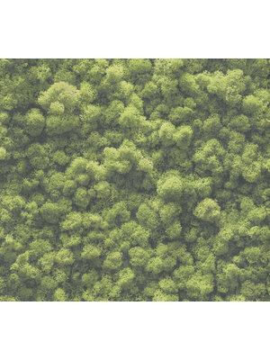 AS Creation PintWalls II - Groen - Bloemrijk - 394051 AS Creation PintWalls II - Groen - Bloemrijk - 394051