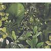 AS Creation PintWalls II - Groen - 396981