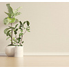Dutch Wallcoverings Eleganza - Tessuto Plain Dove - Beige