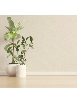 Dutch Wallcoverings FC Eleganza- Tessuto Plain Dove - 36411 Dutch Wallcoverings FC Eleganza- Tessuto Plain Dove - 36411