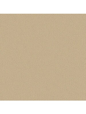 Dutch Wallcoverings Euphorie - Uni - Beige