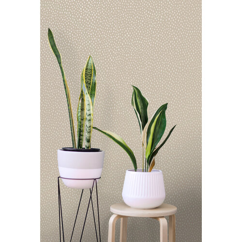 Dutch Wallcoverings Patagonia - Pinto - Beige