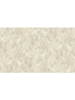 Dutch Wallcoverings FC Roberto Cavalli 9- dessin beige - 21053