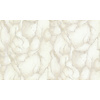 Dutch Wallcoverings Yudashkin 5 10X1,06M - Beige/Zilver