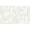 Dutch Wallcoverings Yudashkin 5 10X1,06M - Beige/Zilver