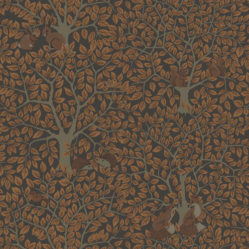 10,05m x 53cm
