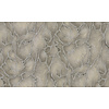 Dutch Wallcoverings Yudashkin 5 10X1,06M - Bruin/Zilver