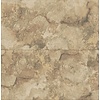Dutch Wallcoverings Arber - Aria Old Gold - Goud