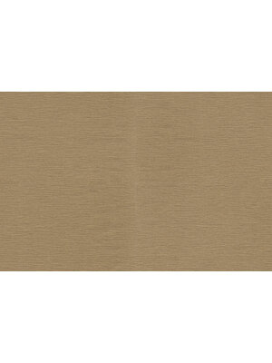 Dutch Wallcoverings FC Roberto Cavalli 9- uni goud - 21089