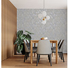 Dutch Wallcoverings Patagonia - Zarci - Grey