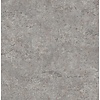 Dutch Wallcoverings FC Arber- Colt Grey  - DL26753