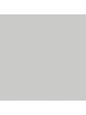 Dutch Wallcoverings FC Morgongava- Stella Grey - 27027