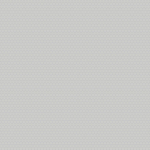 Dutch Wallcoverings Morgongava - Stella Grey - Grijs