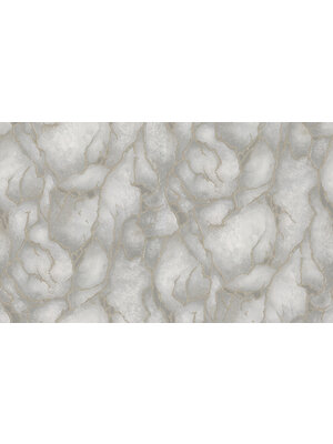 Dutch Wallcoverings Yudashkin 5 10X1,06M - Grijs/Goud