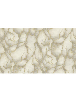 Dutch Wallcoverings Yudashkin 5 10X1,06M - Grijs/Goud Dutch Wallcoverings Yudashkin 5 10X1,06M - Grijs/Goud