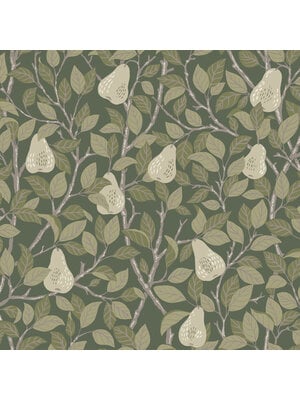 Dutch Wallcoverings FC Angas- Pirum Green - 13105 Dutch Wallcoverings FC Angas- Pirum Green - 13105