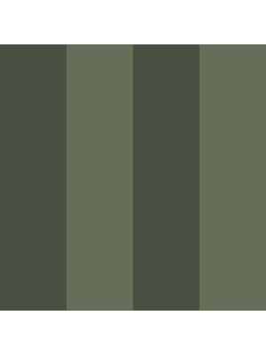 Dutch Wallcoverings FC Angas- Fredrik Green - 13123