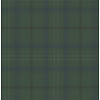 Dutch Wallcoverings Sauvage Ruit - Groen/Blauw