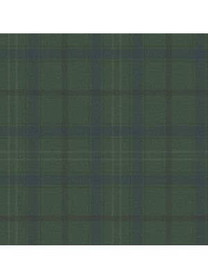 Dutch Wallcoverings Sauvage Ruit - Groen/Blauw Dutch Wallcoverings Sauvage Ruit - Groen/Blauw