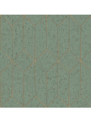 Dutch Wallcoverings FC Arber- Hayden Sage  - DL26704