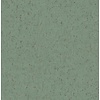 Dutch Wallcoverings Arber - Callie Sage - Groen/Goud