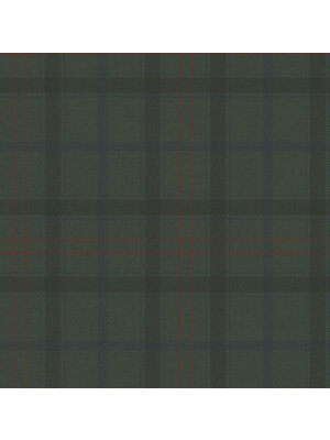 Dutch Wallcoverings Sauvage Ruit - Groen/Rood Dutch Wallcoverings Sauvage Ruit - Groen/Rood