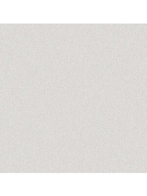 Dutch Wallcoverings Euphorie - Uni - Lichtgrijs Dutch Wallcoverings Euphorie - Uni - Lichtgrijs