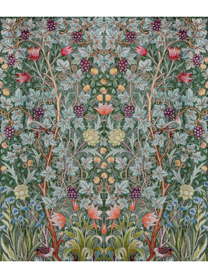 Dutch Wallcoverings Hidden Tr2 -Vine Embroid. 196X270 - Multicolor