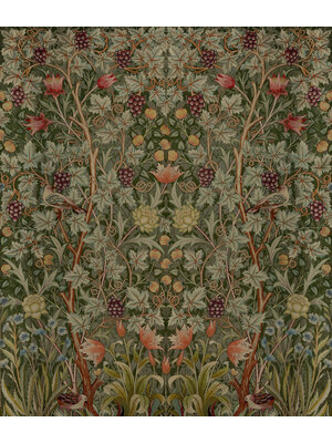 Dutch Wallcoverings Hidden Tr2 -Vine Embroid. 196X270 - Multicolor