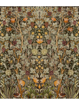 Dutch Wallcoverings Hidden Tr2 -Vine Embroid. 196X270 - Multicolor