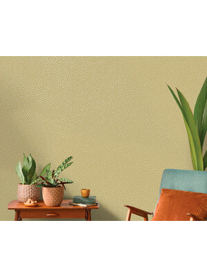 Dutch Wallcoverings Patagonia - Pinto - Ochre Dutch Wallcoverings Patagonia - Pinto - Ochre