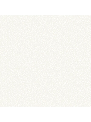 Dutch Wallcoverings Langenas - Adam White - Wit