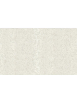 Dutch Wallcoverings FC New Tekko dessin wit - 20009