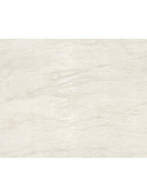 Dutch Wallcoverings FC Roberto Cavalli 9- marmer wit - 21025