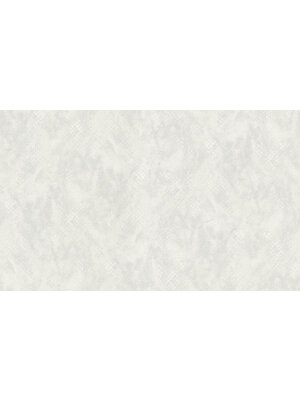 Dutch Wallcoverings FC Roberto Cavalli 9- dessin wit - 21059