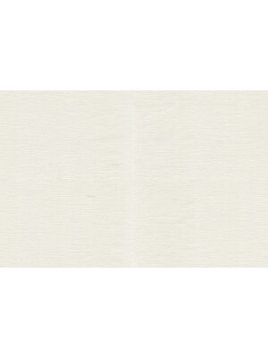 Dutch Wallcoverings FC Roberto Cavalli 9- uni wit - 21082